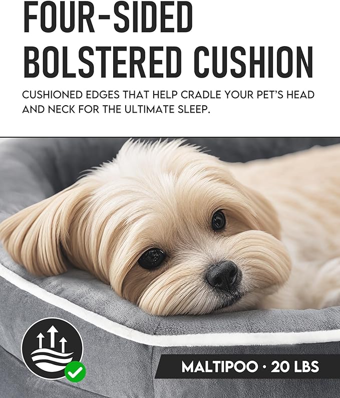 OhGeni Orthopedic Dog Bed Couch for Medium Sized Pets with Egg Foam Support, Four-Sided Bolster Cushions, Soft Tear-Resistant Fabric, and Removable Machine Washable Plush Cover 28-Inch (Gray)