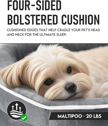 OhGeni Orthopedic Dog Bed Couch for Medium Sized Pets with Egg Foam Support, Four-Sided Bolster Cushions, Soft Tear-Resistant Fabric, and Removable Machine Washable Plush Cover 28-Inch (Gray)
