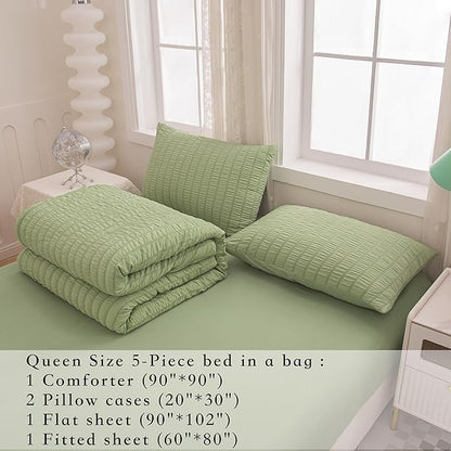 5 Pcs Sage Green Comforter Sets Queen Size for Girls Women Kids, Boho Light Green Bedding Set Queen Size,Soft Lightweight Microfiber Bed Set for All Season