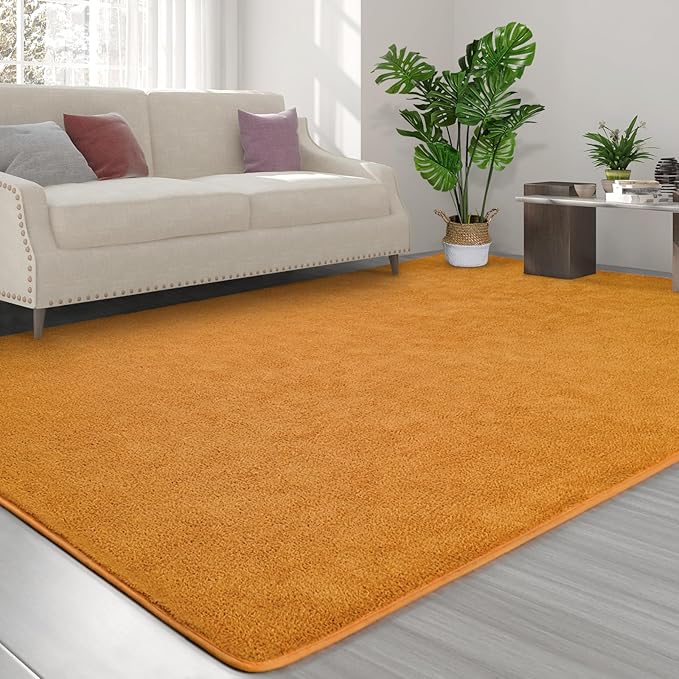 Area Rugs for Bedroom Living Room, 4x6 Orange Super Soft Comfy Thickened Memory-Foam Indoor Carpets, Modern Aesthetic Minimalist Carpet for Boys Girls Adults Apartment Nursery Home Décor