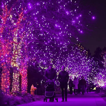Dazzle Bright 2 Pack Total 400LED 132FT Halloween Solar String Outdoor Lights, Solar Powered with 8 Modes Waterproof Halloween Lights for Bedroom Patio Garden Tree Party Yard Decoration (Purple)