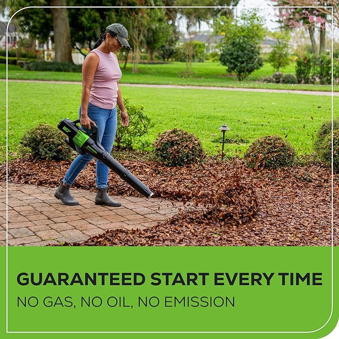 Greenworks Pro 80V (145 MPH / 580 CFM) Brushless Cordless Axial Leaf Blower, 2.5Ah Battery and Charger Included BL80L2510 & PRO 80V 2.0Ah Lithium-Ion Battery (Genuine Battery)