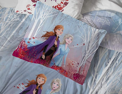 Jay Franco Frozen 2 Forest Spirit Bed Set, Full