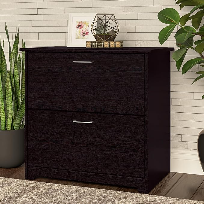 Bush Business Furniture Cabot 2 Drawer Lateral File Cabinet | Letter, Legal, and A4-size Document Storage for Home Office, 32W, Espresso Oak
