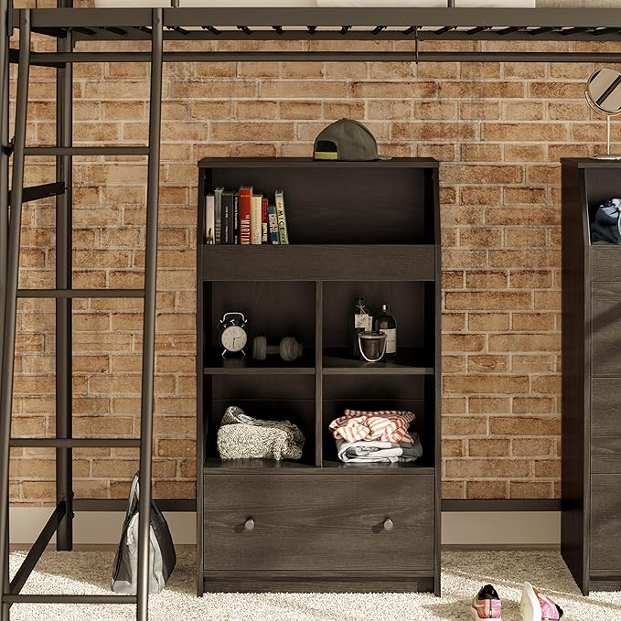 Ameriwood Home The Loft 2 Door Storage Tower, Large, Black Oak