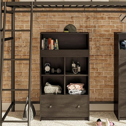 Ameriwood Home The Loft 2 Door Storage Tower, Large, Black Oak