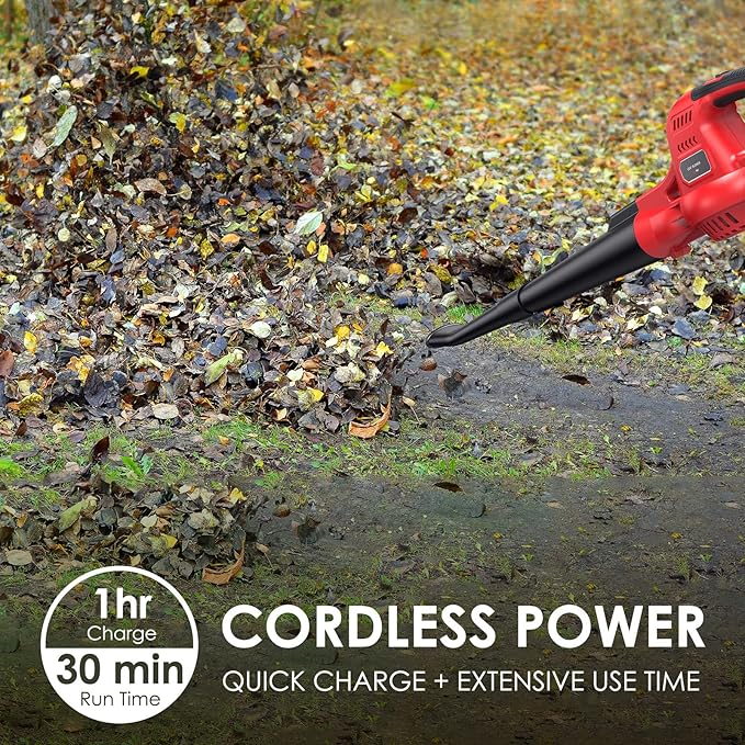 Cordless Leaf Blower, 20V Lightweight Electric Blower with Battery and Charger, Portable Handheld Power Leaf Blower with 2-Speed Control for Lawn Care