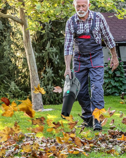 Litheli 20V Cordless, 350 CFM 85 MPH Battery , Variable Speeds Leaf Blower for Cleaning Leaves, Dust, Snow, Lawn, Yard, 4.0Ah Battery & Fast Charger Included