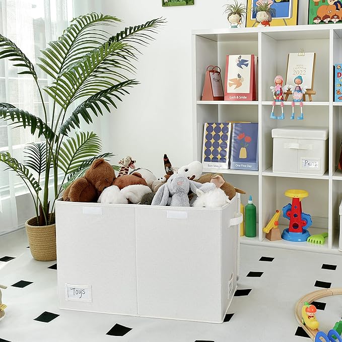 GRANNY SAYS Large Storage Bins with Lids, Foldable Storage Chest with Handles, Stuffed Animal Storage for Playroom, Living Room, Pearl White