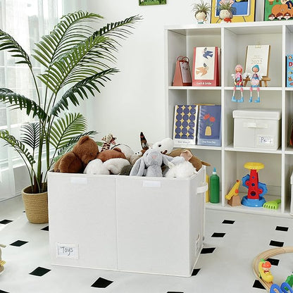 GRANNY SAYS Large Storage Bins with Lids, Foldable Storage Chest with Handles, Stuffed Animal Storage for Playroom, Living Room, Pearl White