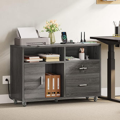 DWVO 2 Drawer File Cabinet with Charging Station, Mobile Filing Cabinet with Lock, Grey