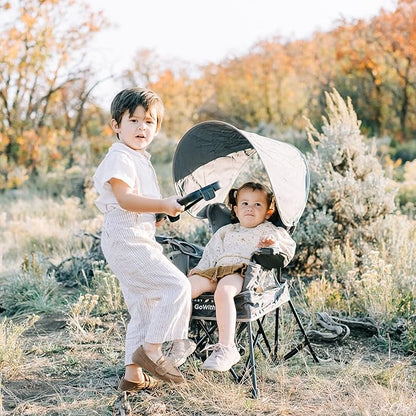 Baby Delight Go with Me Venture Portable Chair | Indoor and Outdoor | Sun Canopy | 3 Child Growth Stages | Grey