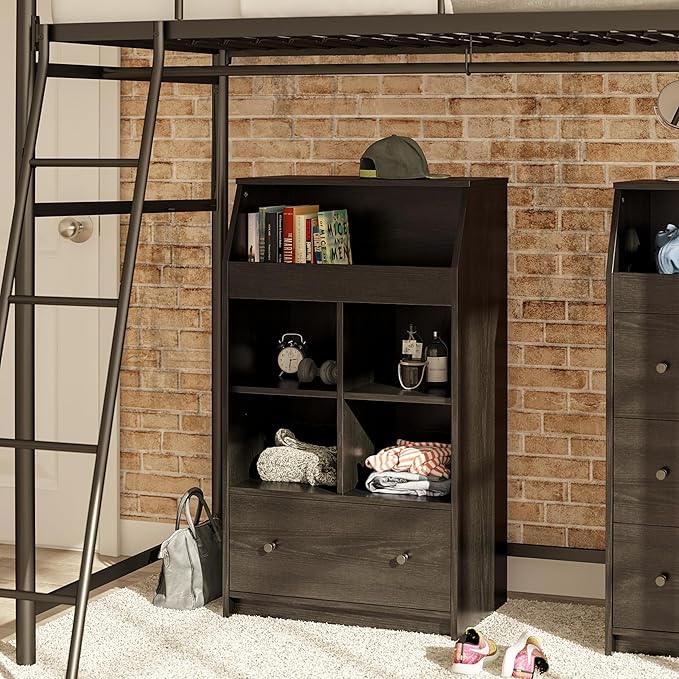 Ameriwood Home The Loft 2 Door Storage Tower, Large, Black Oak