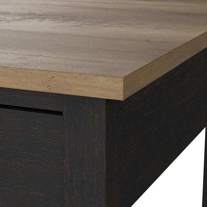 Bush Furniture Mayfield 2 Drawer Lateral File Cabinet in Vintage Black and Reclaimed Pine | Storage for Home Office Workspace