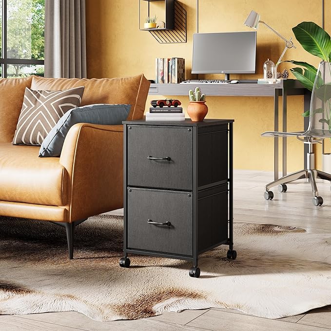 DEVAISE 2 Drawer Mobile File Cabinet, Rolling Printer Stand, Fabric Vertical Filing Cabinet fits A4 or Letter Size for Home Office, Black